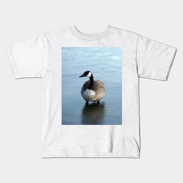 Evening Goose Kids T-Shirt by briankphoto